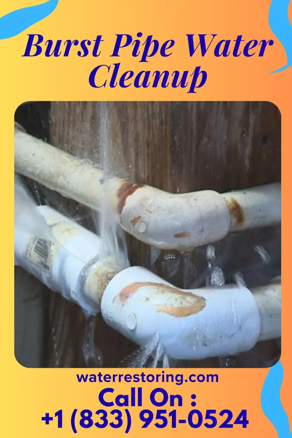 Burst Pipe Water Cleanup in Ernstville, MD