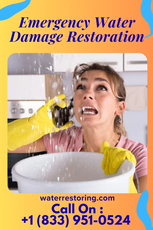 Emergency Water Damage Restoration in Ernstville, MD