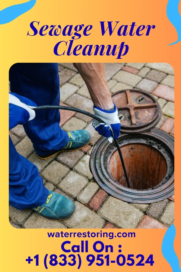 Sewage Water Cleanup in Ernstville, MD