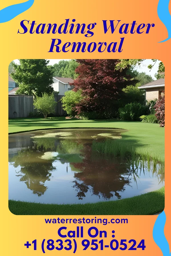 Standing Water Removal in Ernstville, MD